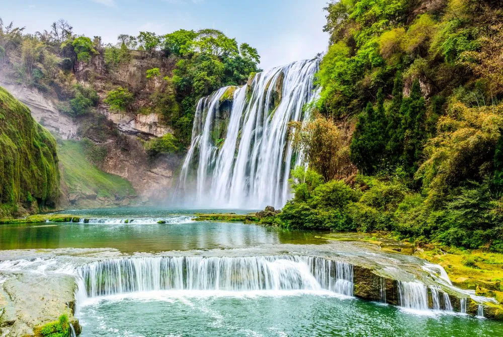 Панды, Чунцин, Гуйчжоу – тур по юго-западу Китая — фото 6